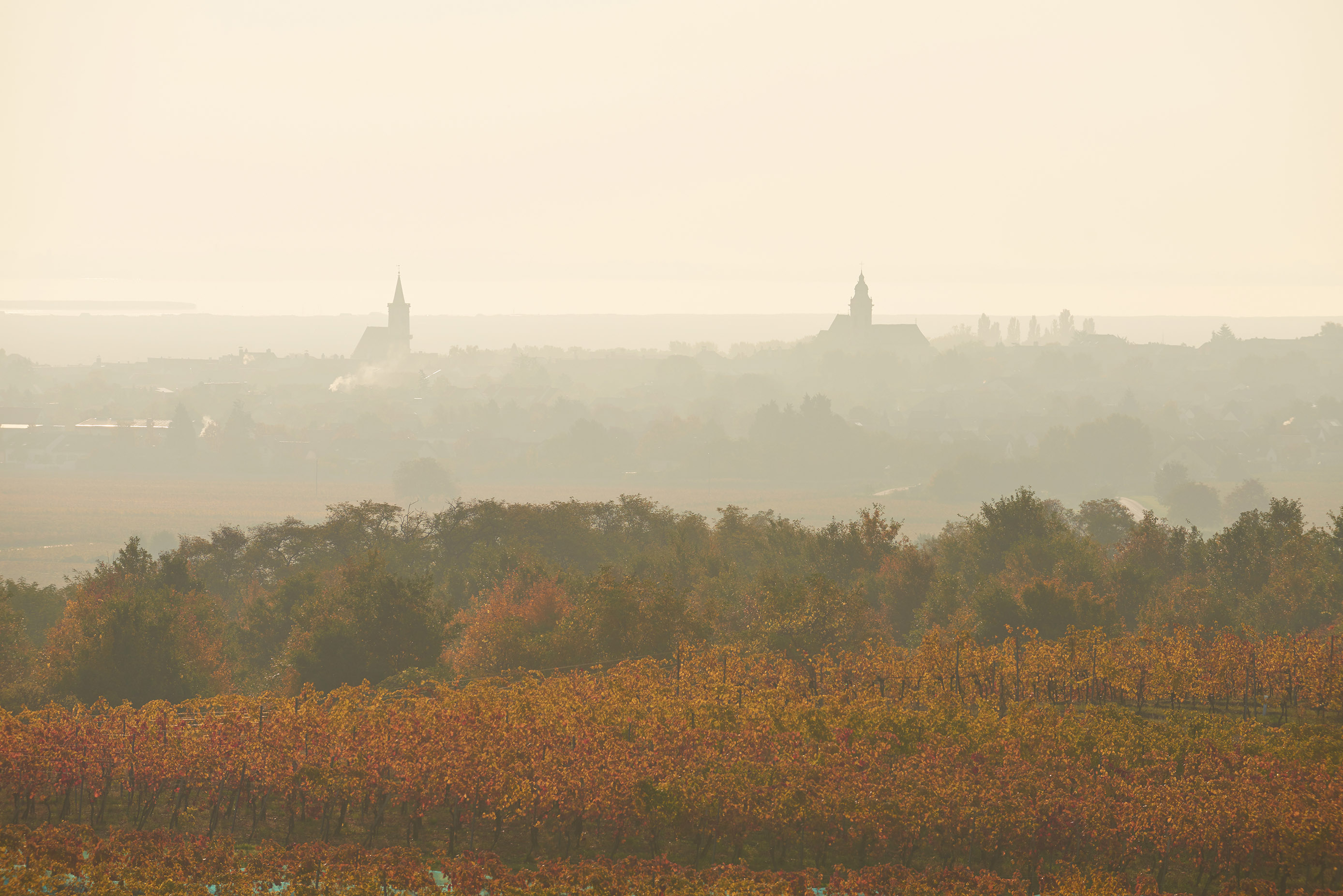 Freistadt Rust im Herbst